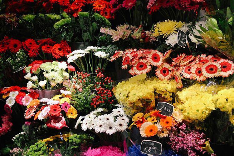 33.0 - some good things