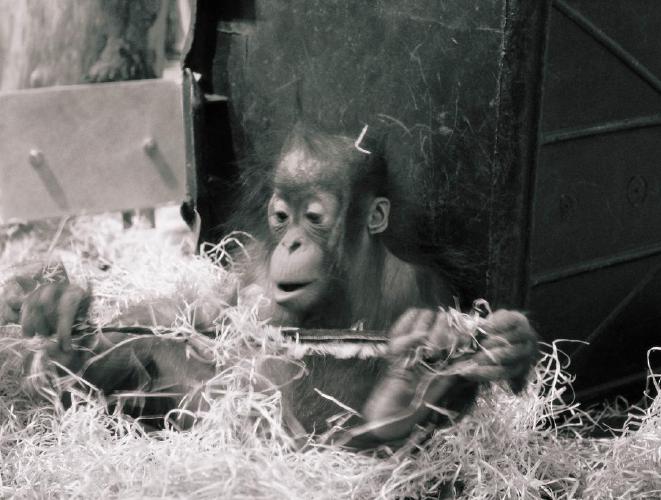 45.1 - what is computer