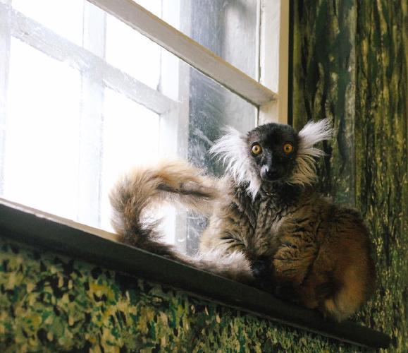 48.0 - hangover got me like