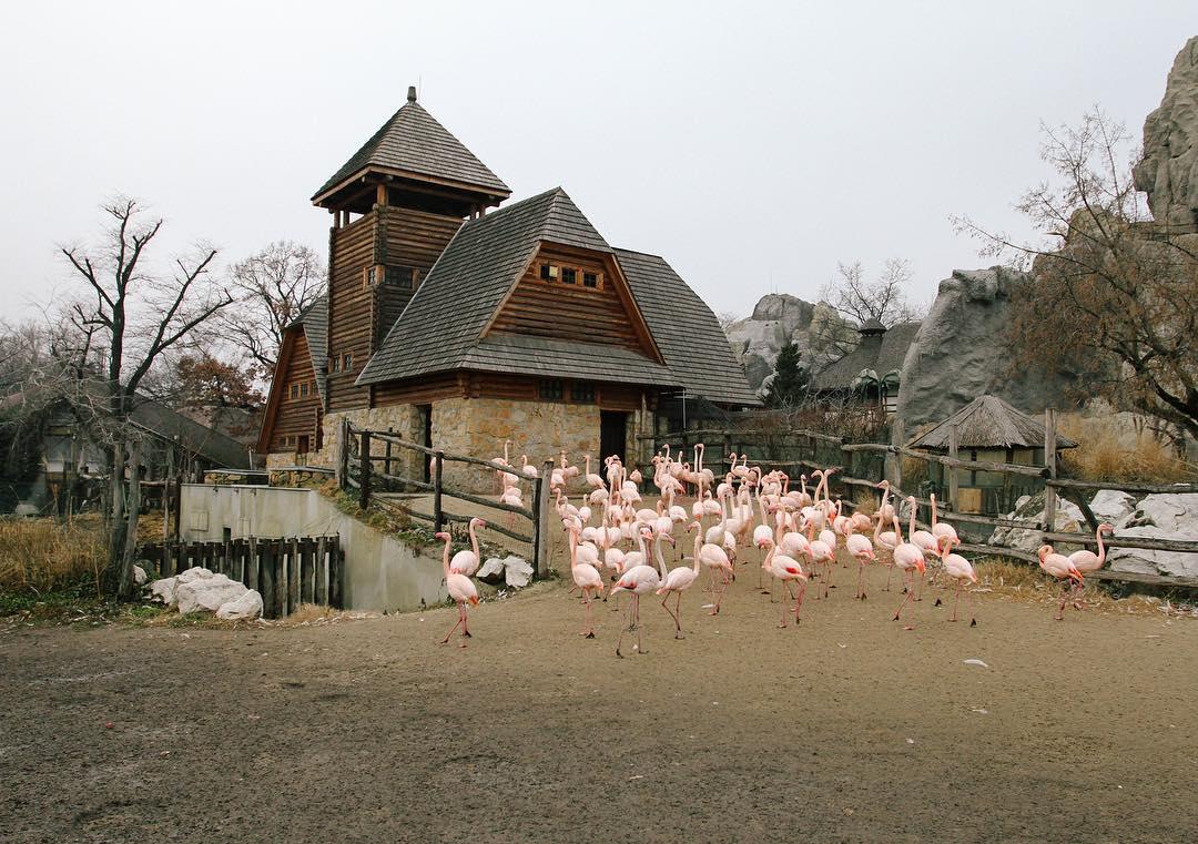 49.2 - where the party at