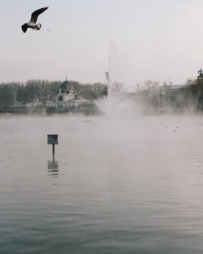 48.0 - pavilion bird