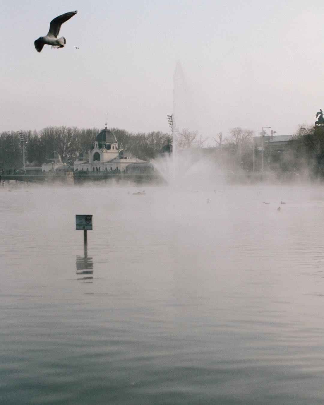 48.0 - pavilion bird