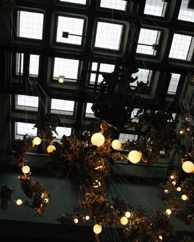 54.3 - glitter, success