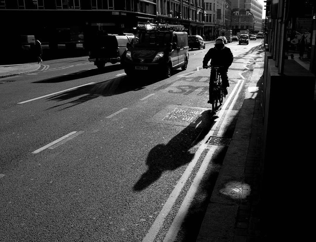 54.1 - morning glare bears