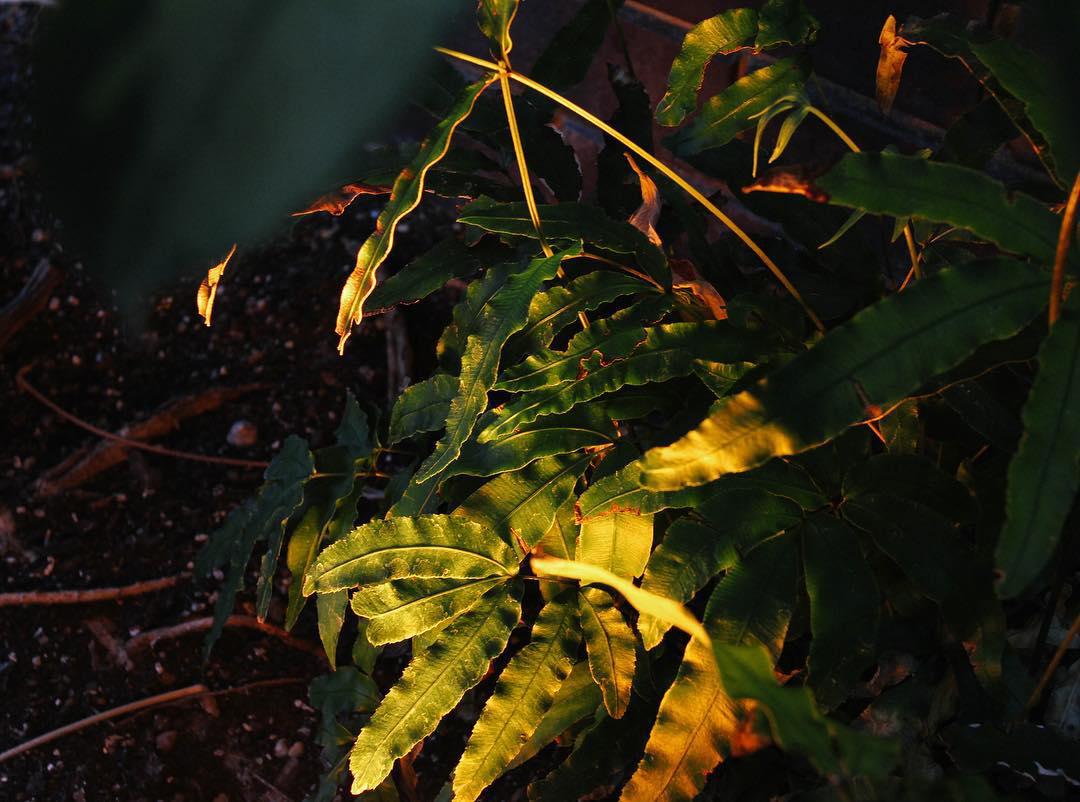 58.1 - honestly i cant believe it's burning again