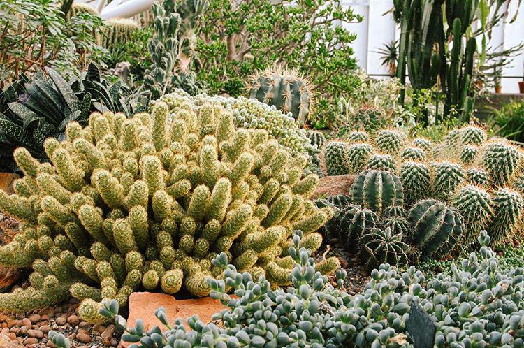 64.1 - sunny day ☀️