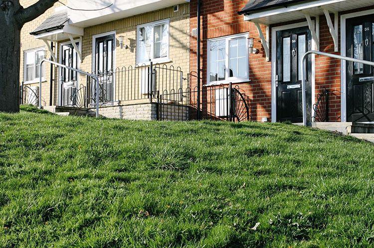 65.1 - plastic houses in tellytubby land