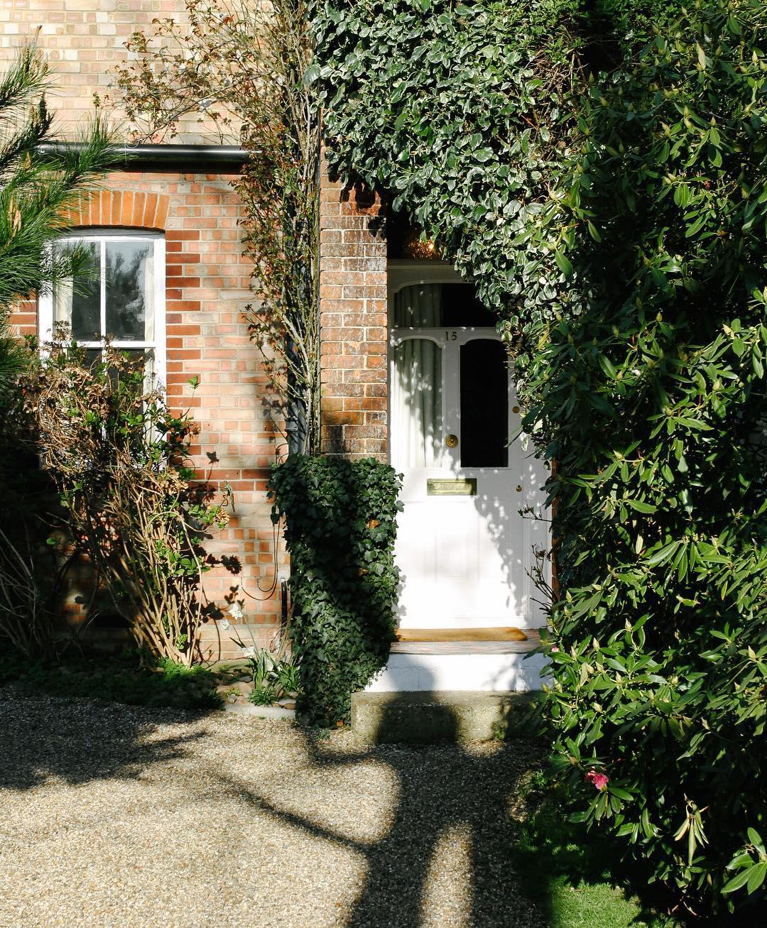 66.0 - boughs of ivy 🌿