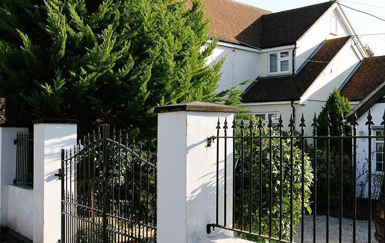 68.1 - stifle sunday