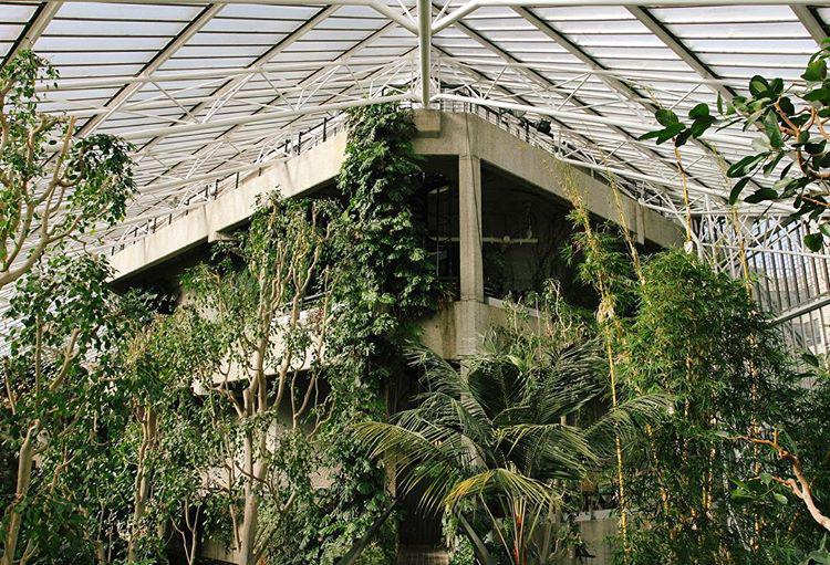 69.2 - postapocalyptica