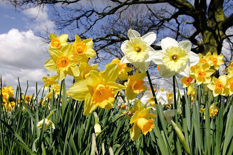 74.0 - warm wind 🌾