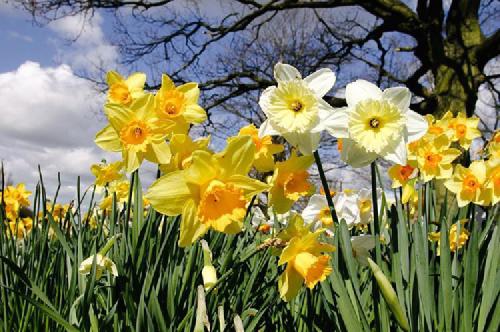 74.0 - warm wind 🌾