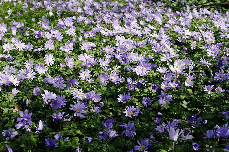 77.0 - hell of a day 🌷