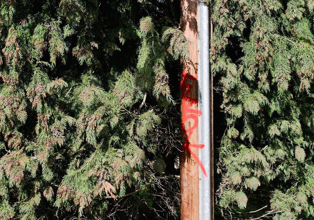 76.0 - suburbia whack