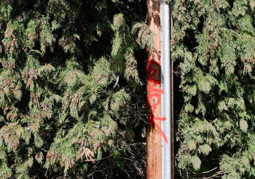 76.0 - suburbia whack