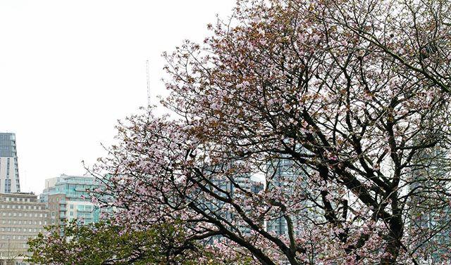 84.0 - alphabet sinks