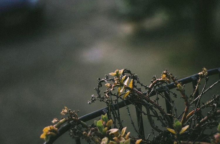 108.0 - bank holiday