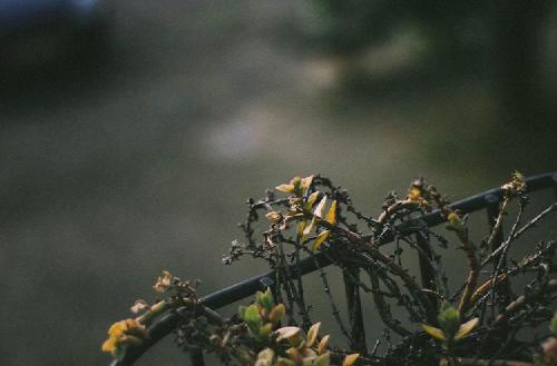 108.0 - bank holiday