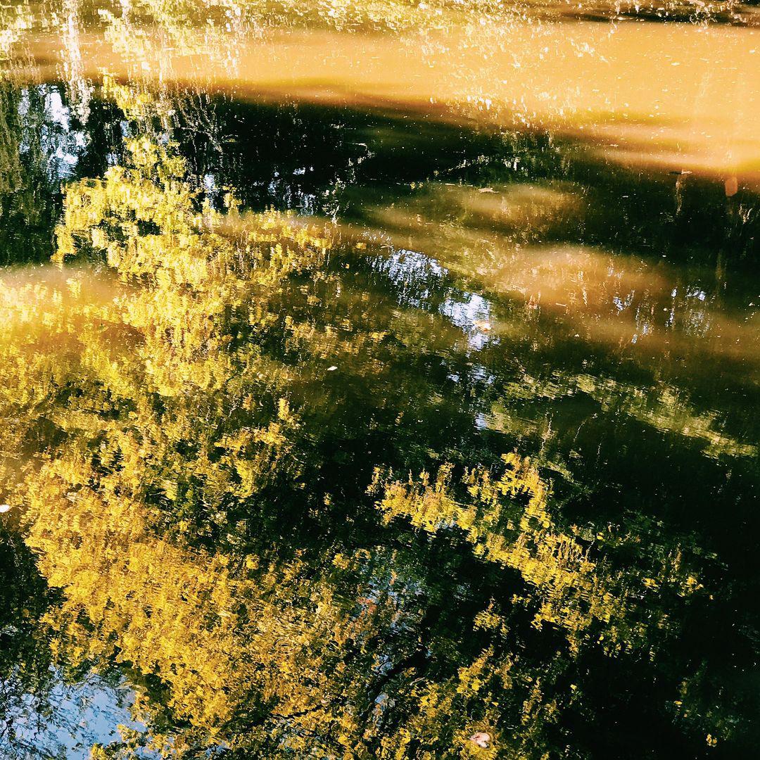 114.1 - good dog, good boy 🐶