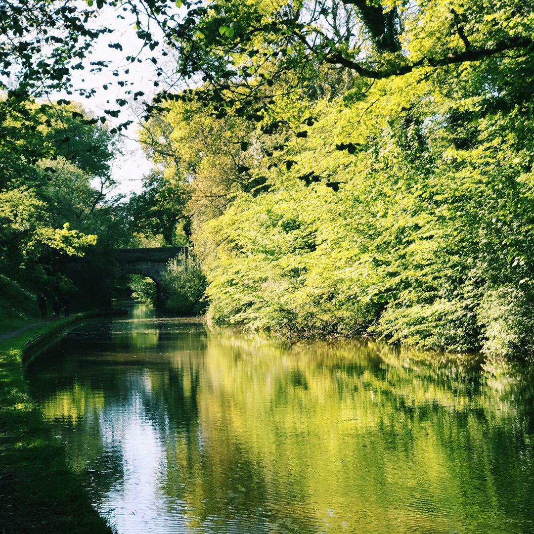 114.1 - good dog, good boy 🐶