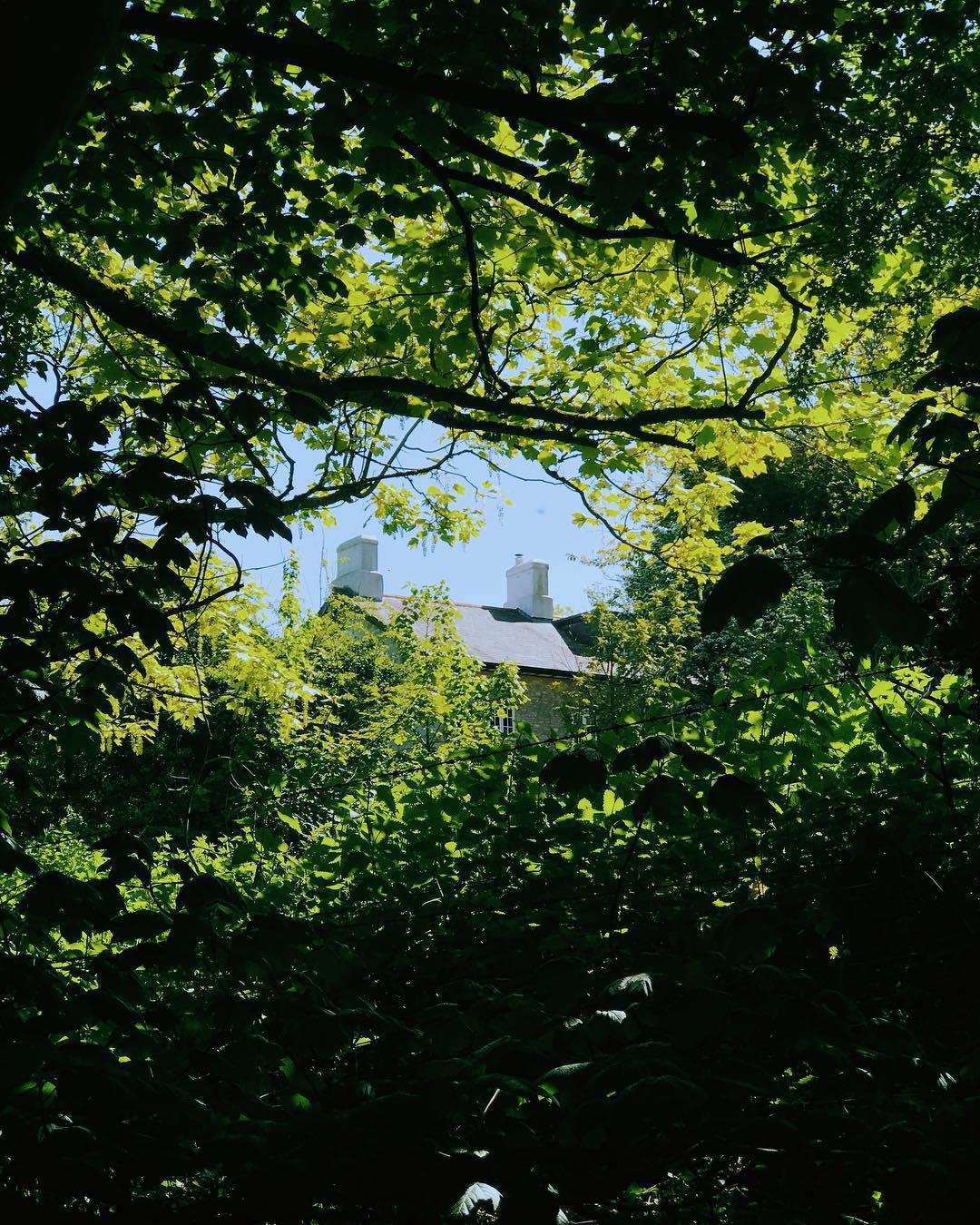 130.1 - shade seeker