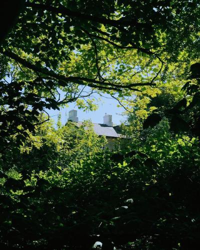 130.1 - shade seeker