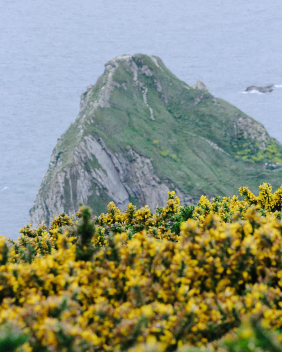 132.0 - cally yentay