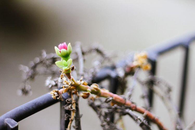 136.0 - good morning britain