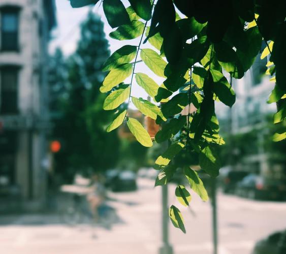 138.0 - the heat of the day