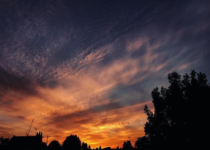 146.0 - the scorch nights