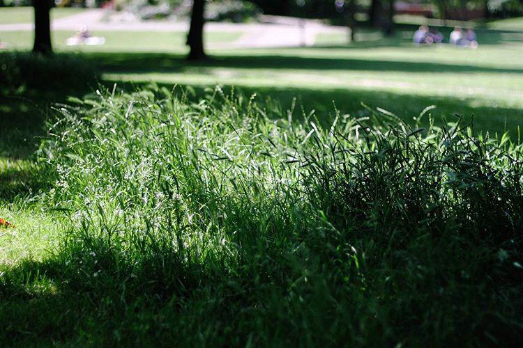 156.0 - i went for a run and did not immediately die. reactions and analysis with our panel of experts to follow.