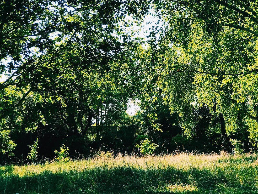 126.2 - flittergits 🌱