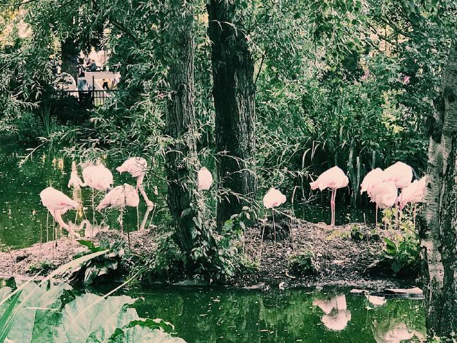 172.0 - swamp monsters