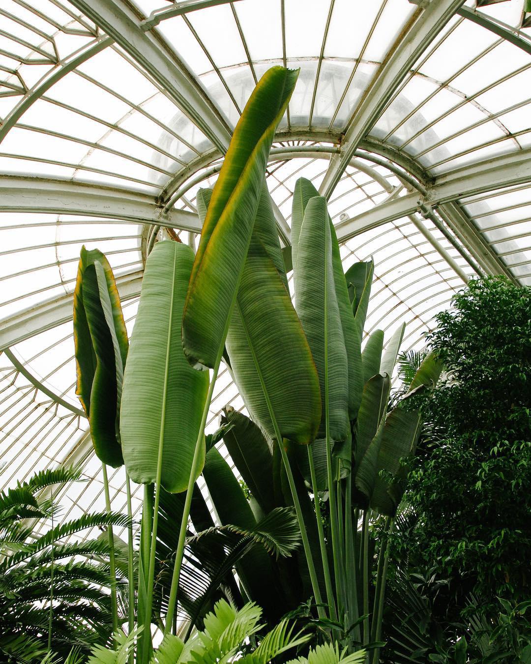 213.0 - up in the wafters 🍃