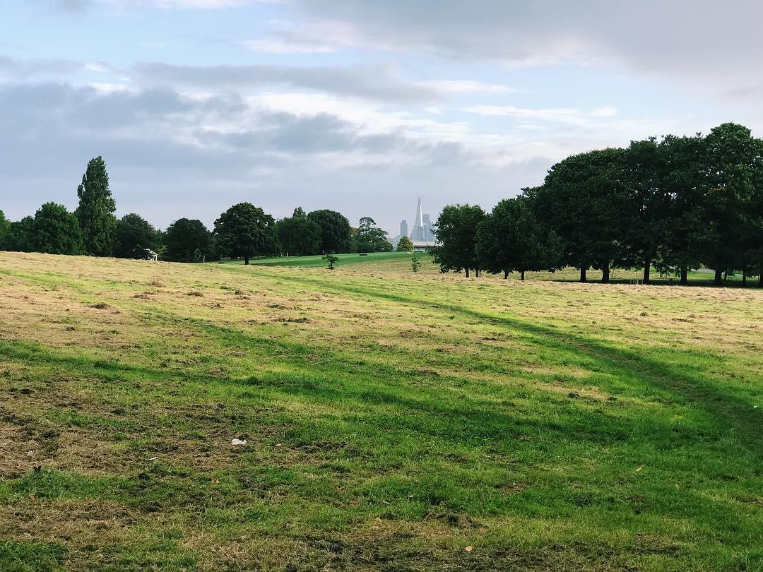 226.0 - view from the run