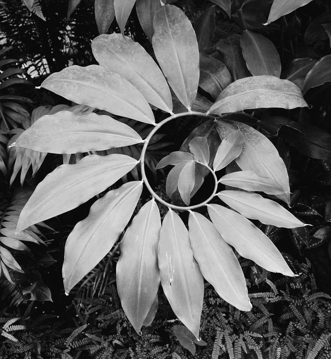 227.0 - listen but do not obey