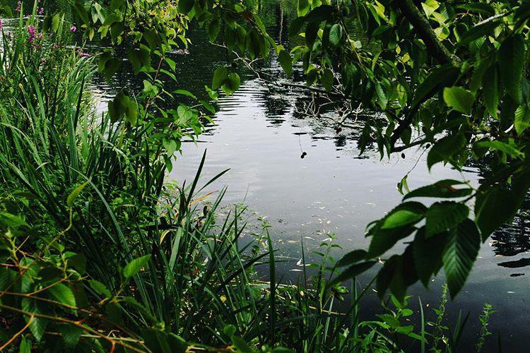 232.0 - run through clouds