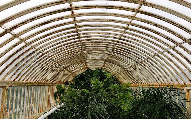 238.0 - big lungs now