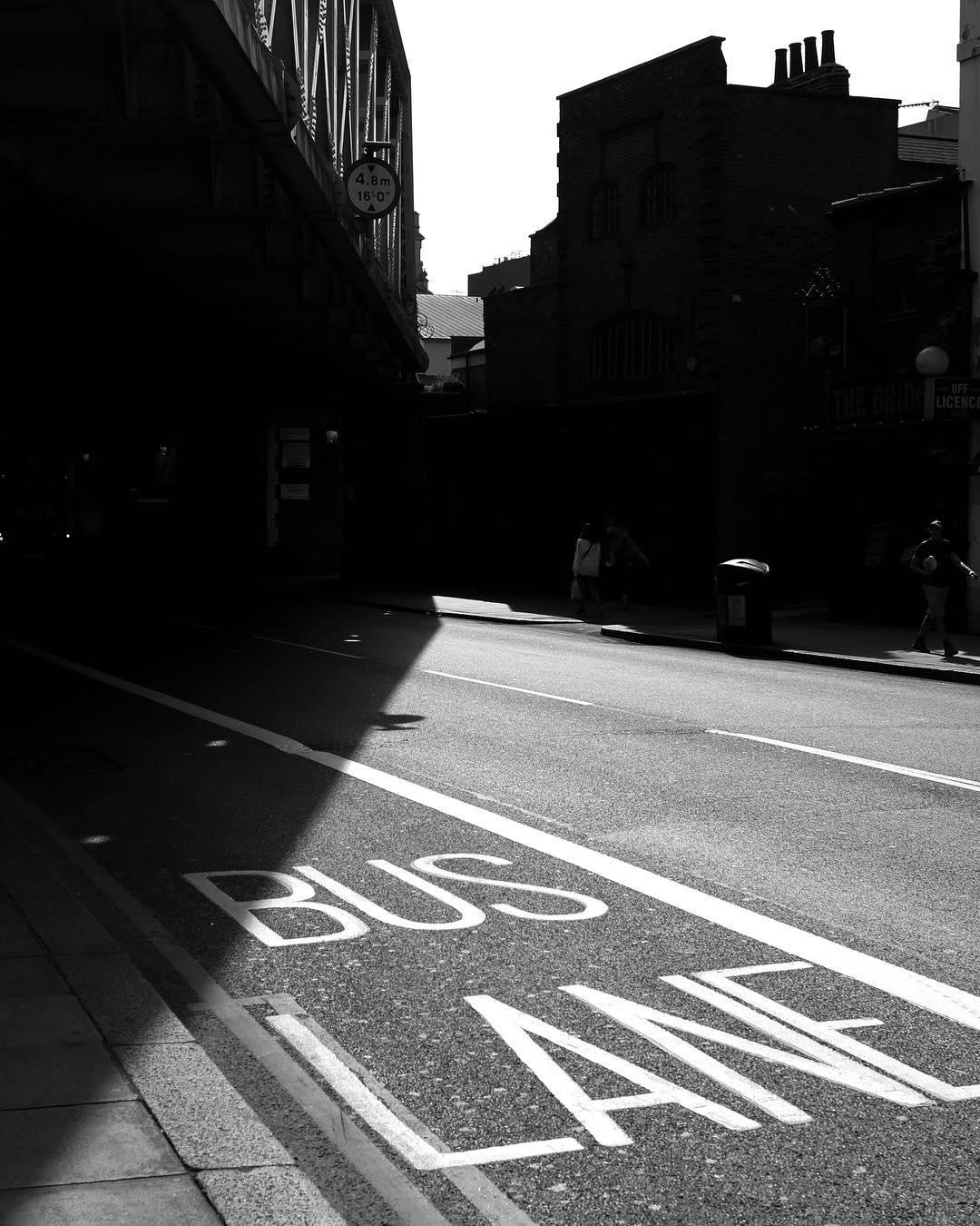 238.1 - soggy autumn glare