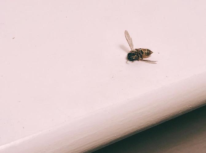 248.0 - me most mornings