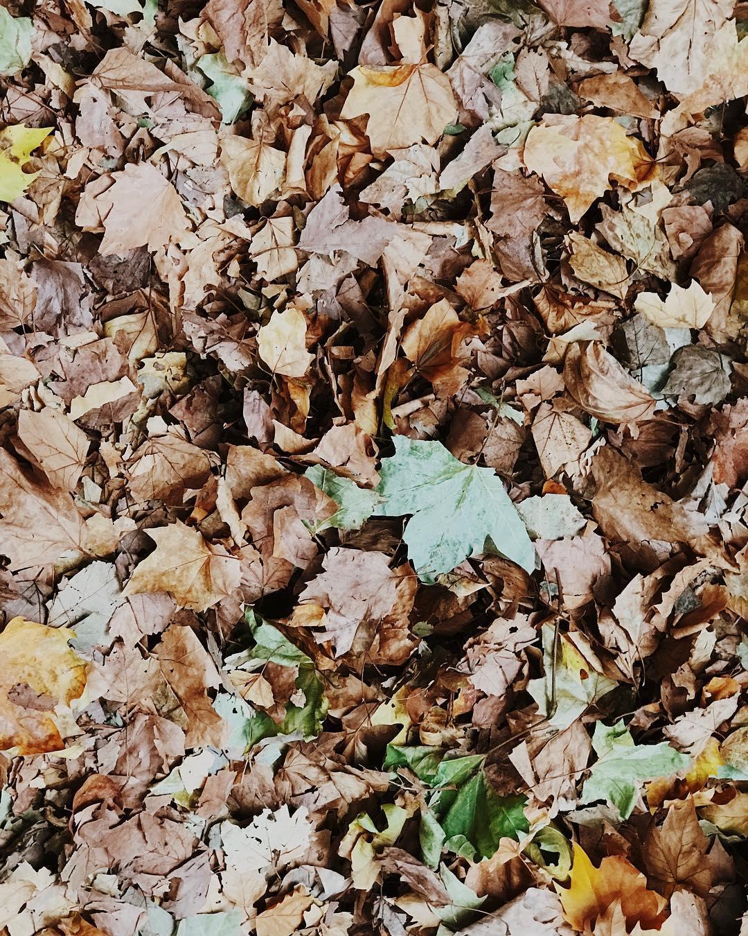 252.1 - order cancelled