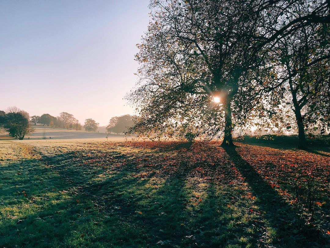 how you wanna be mad when you get this on your morning run