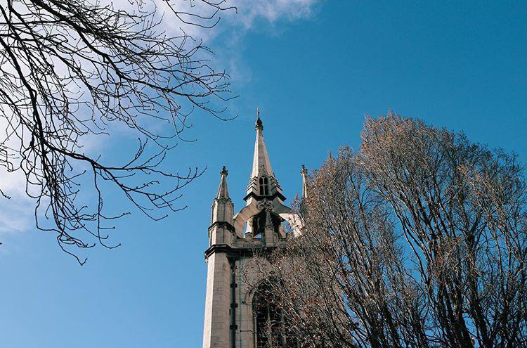 morning dog watching 🐶