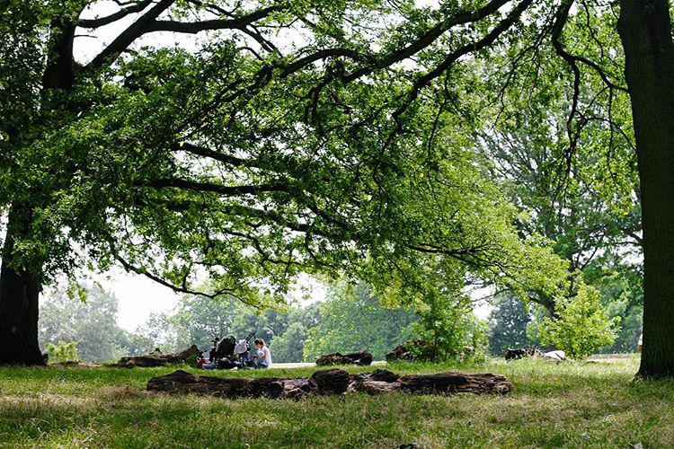 🍃the sun the park 🍃