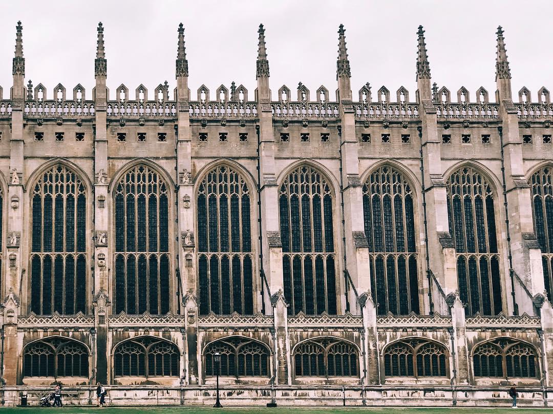 👑👑👑👑👑👑