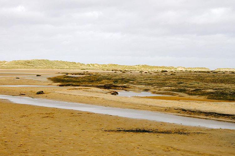 where the son touches