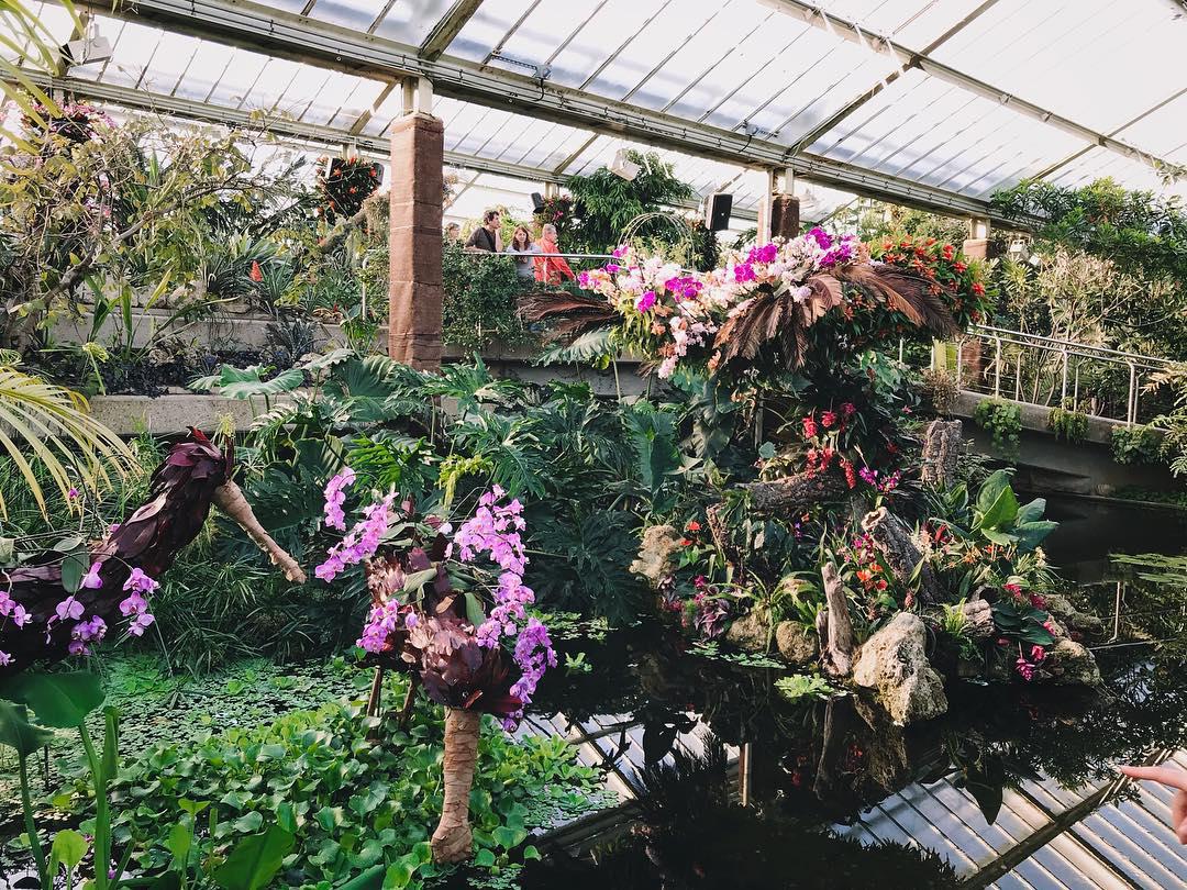 giant fish with whiskers, purple pineapples on sticks, green