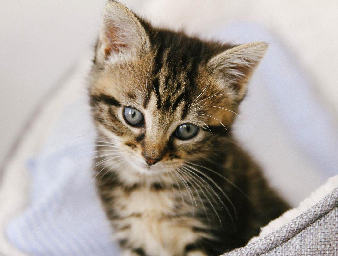 🥃 her name’s talisker 🥃