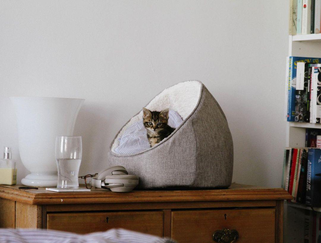 🥃 her name’s talisker 🥃