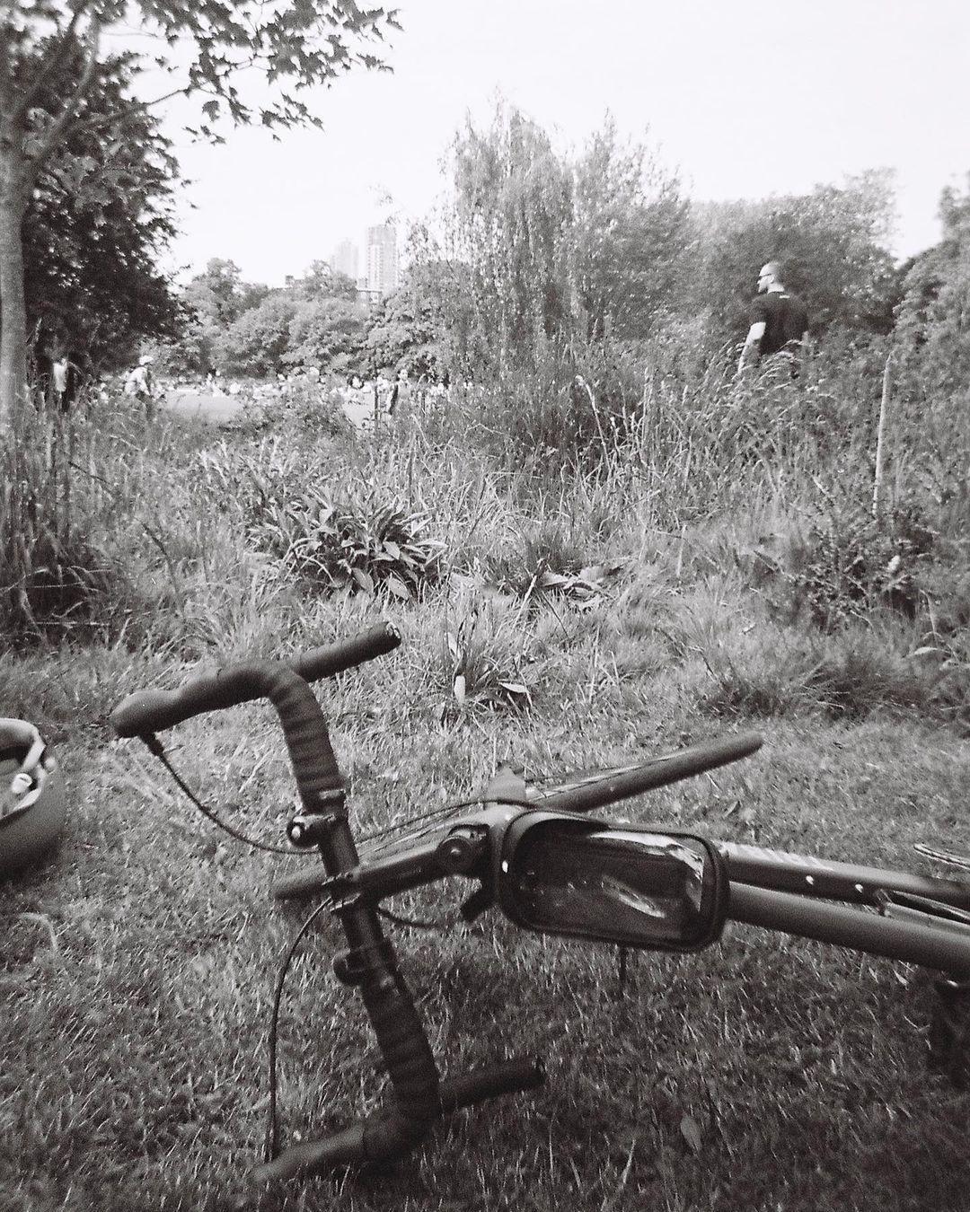 first of a roll of summer disposable shots